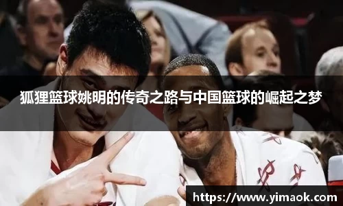 狐狸篮球姚明的传奇之路与中国篮球的崛起之梦