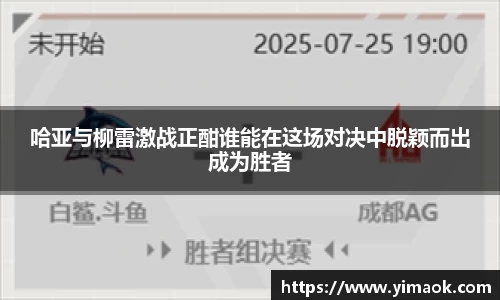 哈亚与柳雷激战正酣谁能在这场对决中脱颖而出成为胜者