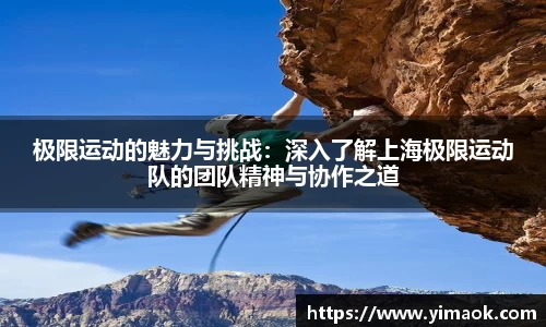 极限运动的魅力与挑战：深入了解上海极限运动队的团队精神与协作之道