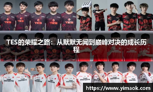 TES的荣耀之路：从默默无闻到巅峰对决的成长历程